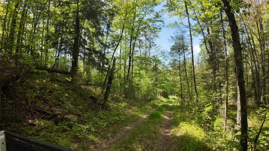 Lt1 FEDERAL FOREST ROAD #3903, Laona, WI 54541 - #3
