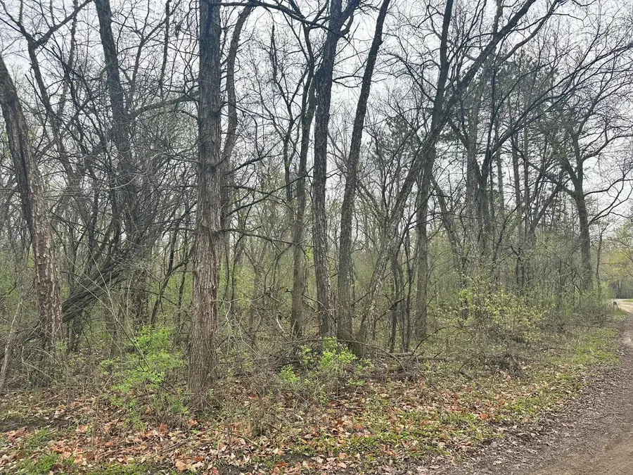 Lot 0 CATFISH DRIVE, Trempealeau, WI 54661 - #2