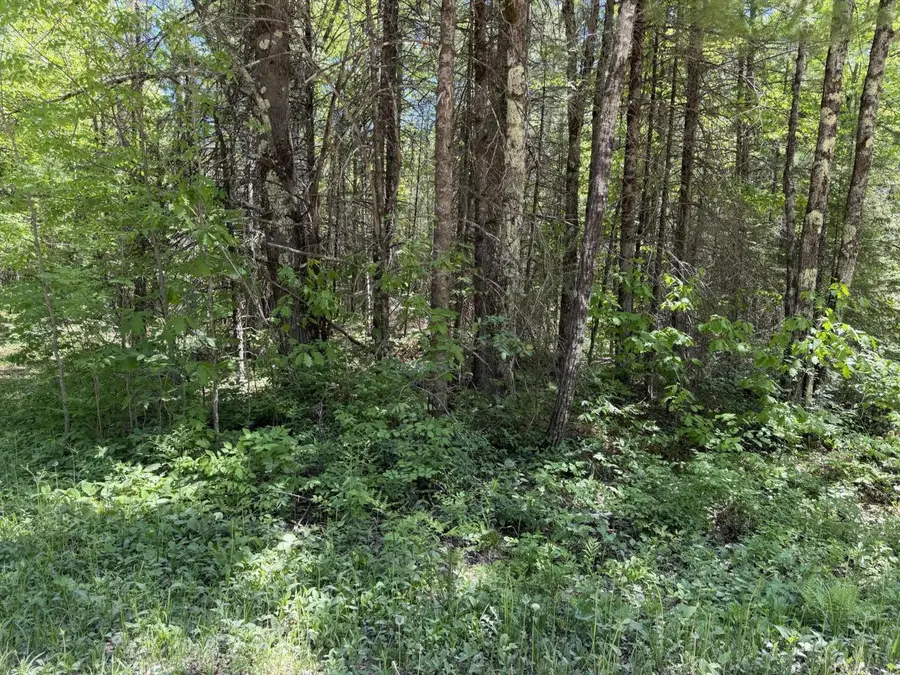 Lt1 WESTBERG ROAD, Amberg, WI 54102 - #2