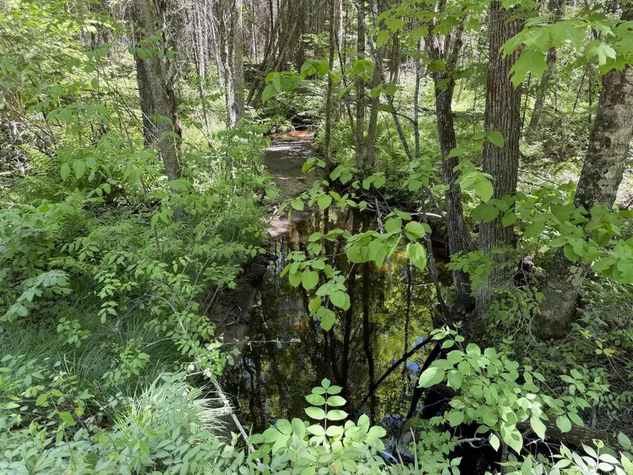 Lt1 WESTBERG ROAD, Amberg, WI 54102 - #3