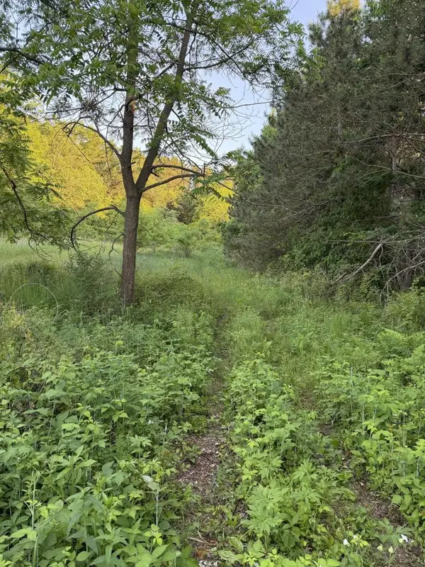 000 CULPITT ROAD, Bangor, WI 54614