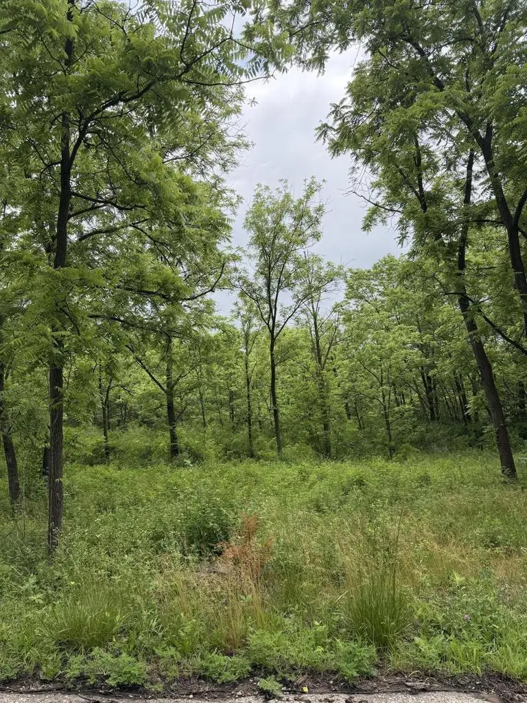 Lot 1 KRUEGER ROAD, Lake Geneva, WI 53147 - #2