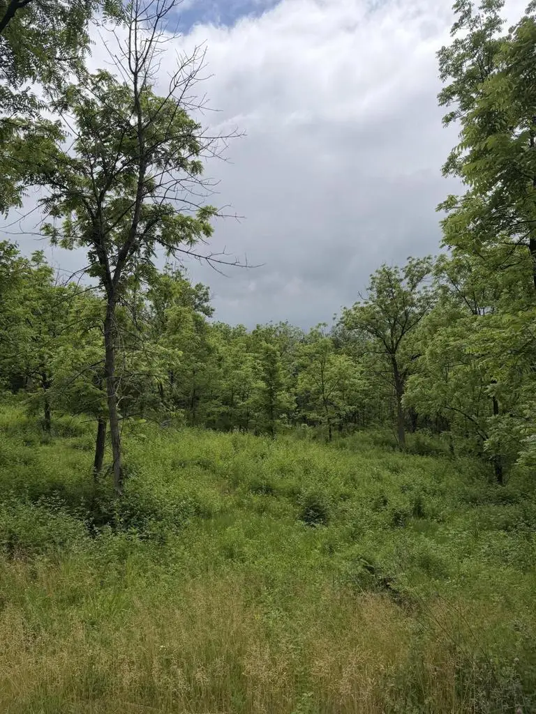 Lot 1 KRUEGER ROAD, Lake Geneva, WI 53147 - #3