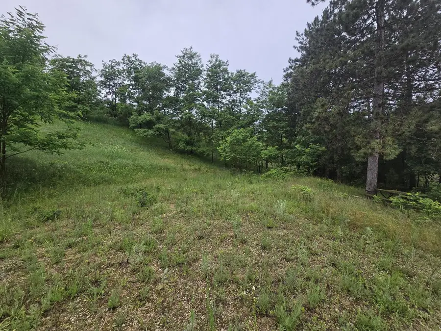 255 BLOSSOM DRIVE, Warrens, WI 54666 - #2