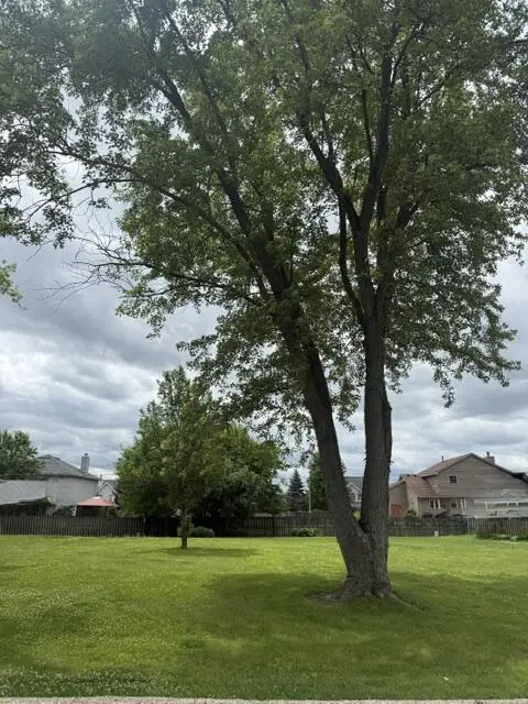 Lt0 WILLOW ROAD, Twin Lakes, WI 53181 - #1