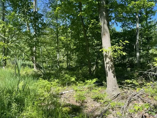 CTY SHAWANO LINE ROAD, Gillett, WI 54124 - #1