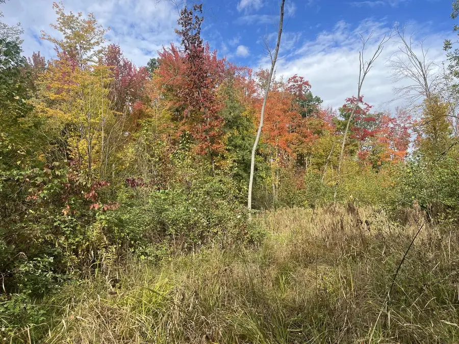 CTY SHAWANO LINE ROAD, Gillett, WI 54124 - #2