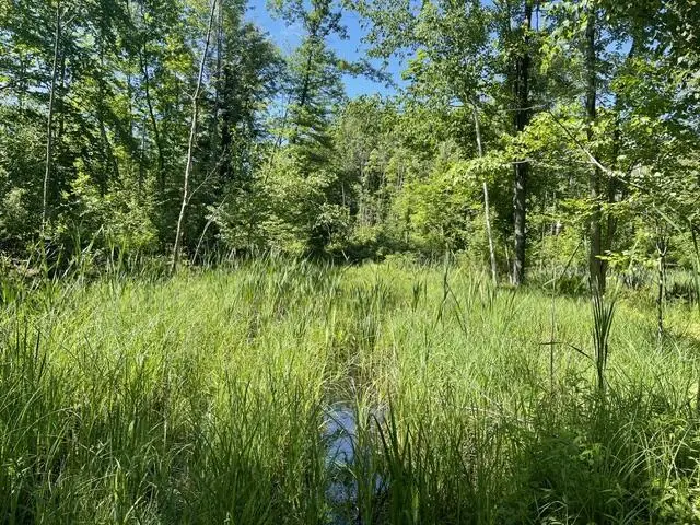 CTY SHAWANO LINE ROAD, Gillett, WI 54124 - #3