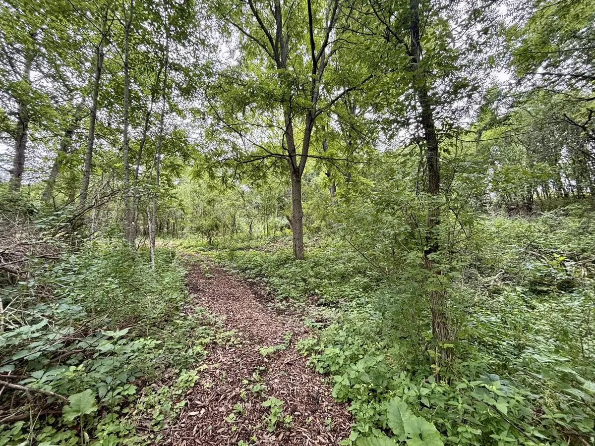 505 E BRANDYBROOK ROAD, Wales, WI 53183 - #1