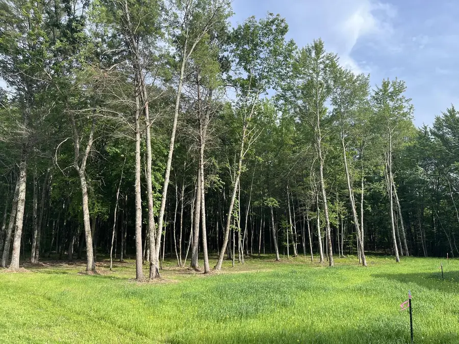 Lt4 CARRIE LANE, Beaver, WI 54114 - #2