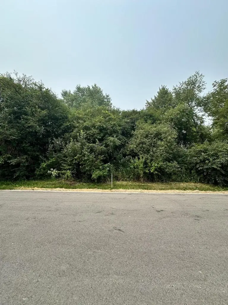 Lot 2 BlK CAROL BEACH ESTATES STREET, Pleasant Prairie, WI 53158 - #2