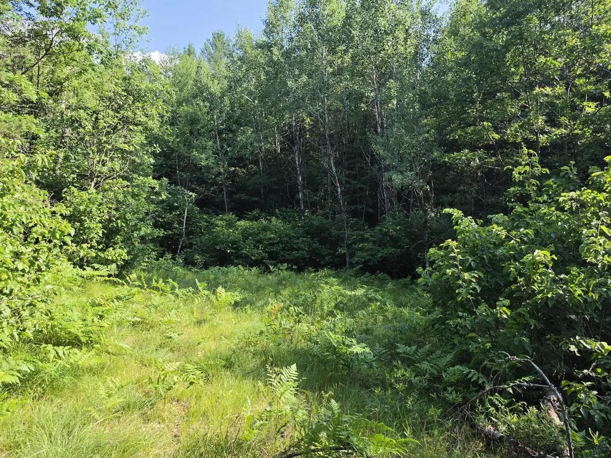 Lt1 OAK RIDGE ROAD #4.62 Acres, Amberg, WI 54102 - #1
