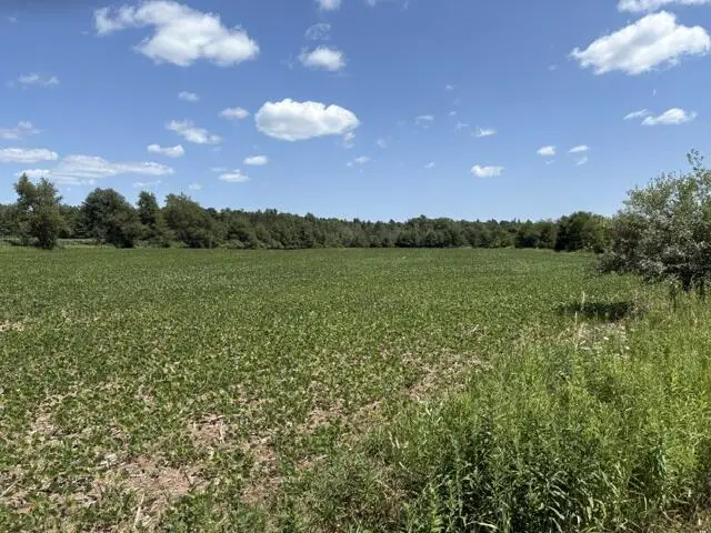 N4890 Schwalla DRIVE, Porterfield, WI 54143 - #3