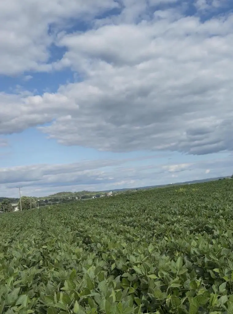 Lot 2 GASLIGHT AVENUE, Sparta, WI 54656 - #1