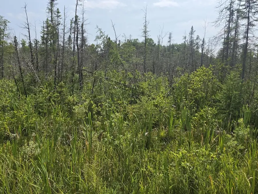 Lt0 BROENNENBERG ROAD, Wausaukee, WI 54177 - #3
