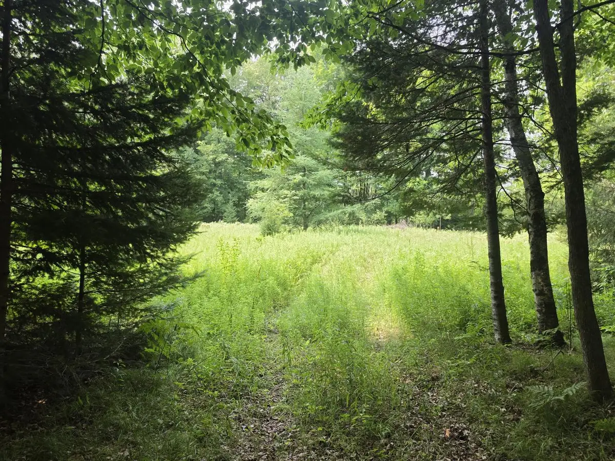 Lt0 OLD RAIL ROAD, Wausaukee, WI 54177 - #1