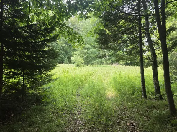 Lt0 OLD RAIL ROAD, Wausaukee, WI 54177