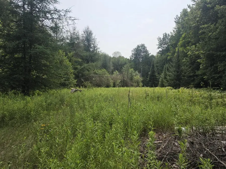 Lt0 OLD RAIL ROAD, Wausaukee, WI 54177 - #3