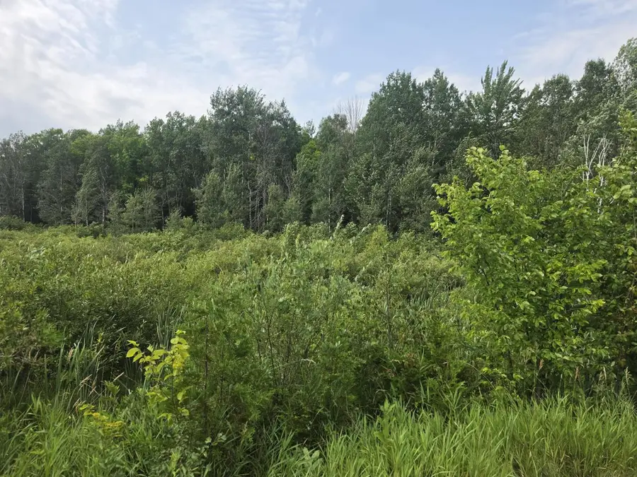 Lt1 OLD RAIL ROAD, Wausaukee, WI 54177 - #2