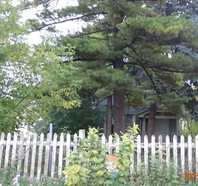 3164 N 35th STREET, Milwaukee, WI 53216 - #1