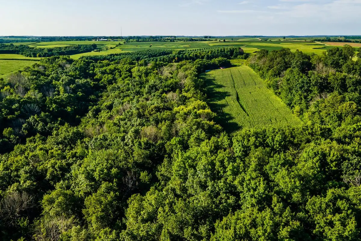 Lt1 COUNTY HWY NN, Cazenovia, WI 53924 - #1