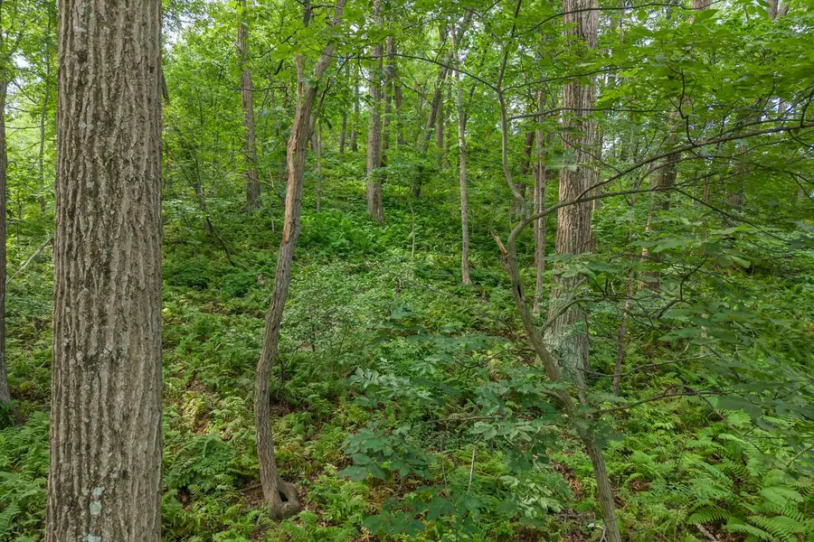 Lot 1 HIDDEN VALLEY ROAD, Holmen, WI 54636 - #2