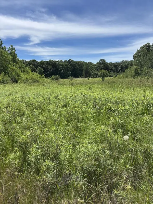0 GRAPEVINE AVENUE, Tomah, WI 54660
