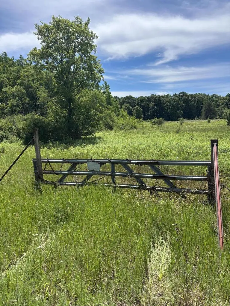 0 GRAPEVINE AVENUE, Tomah, WI 54660 - #2