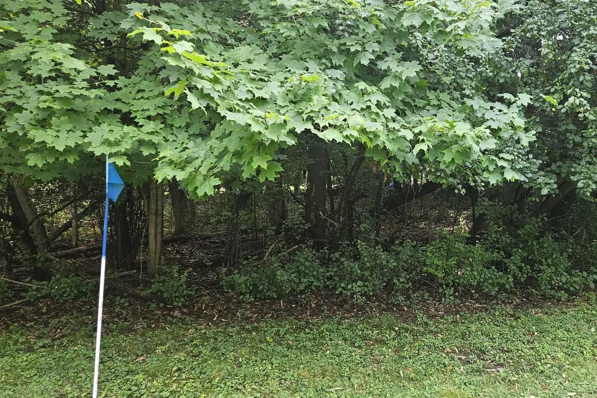 W S 42ND STREET, Greenfield, WI 53220 - #1