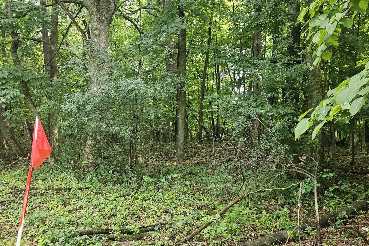 Lt1 S 42ND STREET, Greenfield, WI 53221 - #1