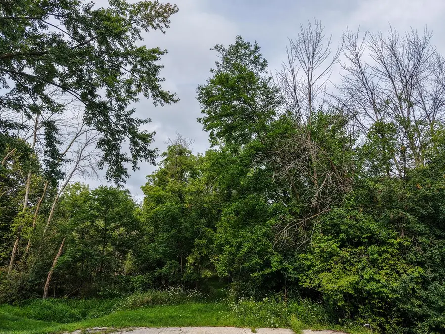 Lt1 BETTERWAY DRIVE, Mayville, WI 53050 - #2