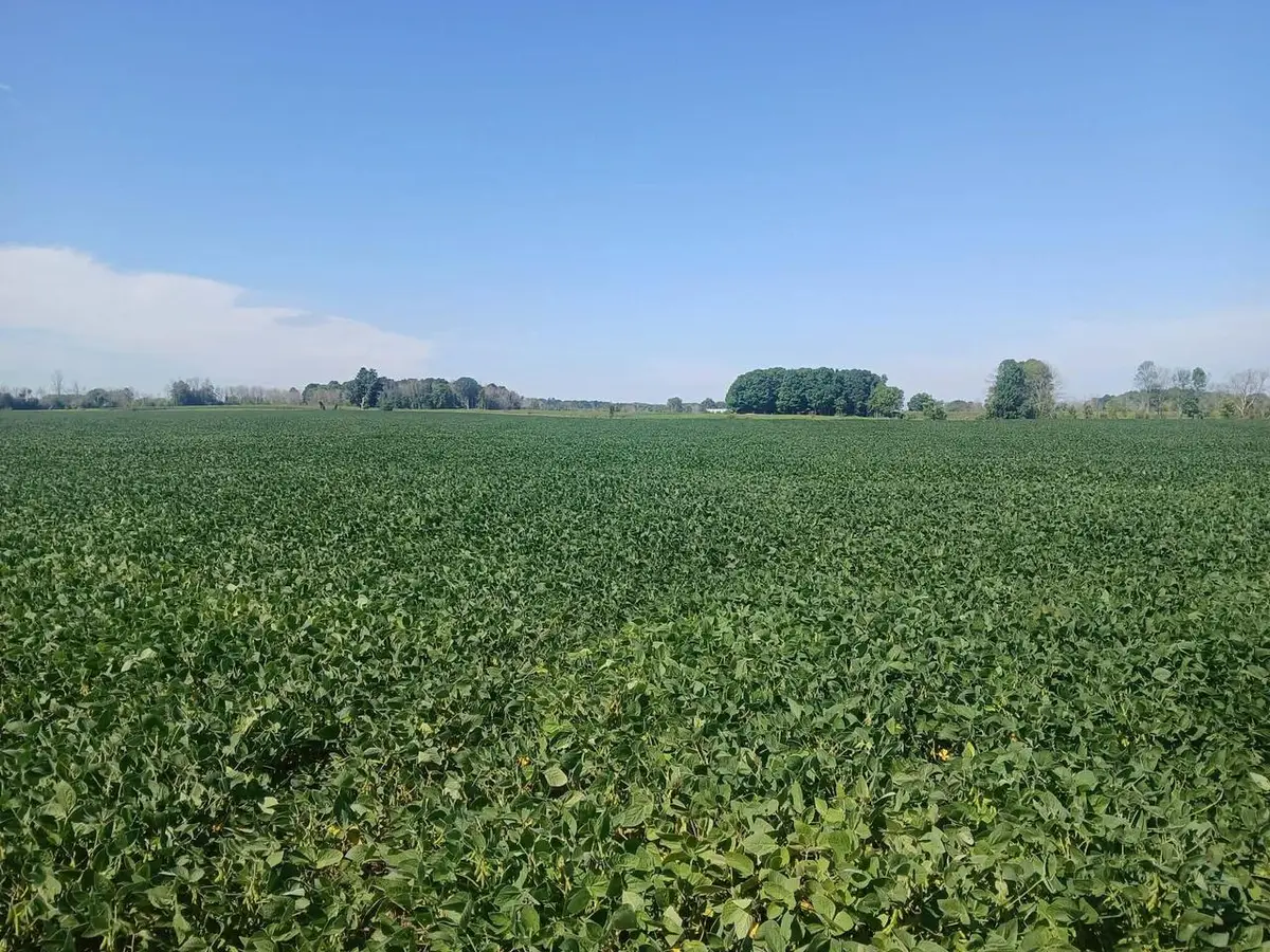 Lt69.26 COUNTY ROAD R, Manitowoc, WI 54220 - #1