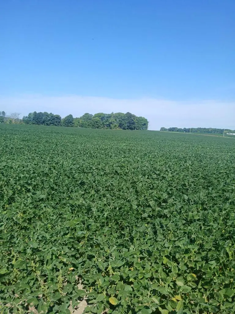 Lt69.26 COUNTY ROAD R, Manitowoc, WI 54220 - #2