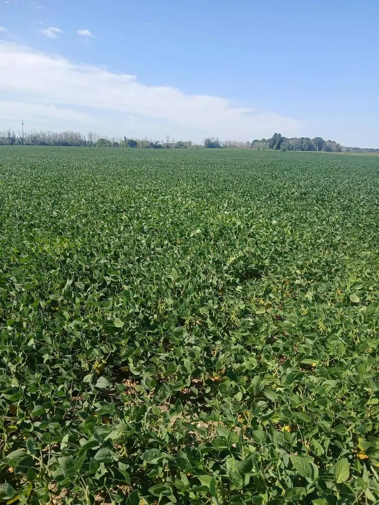Lt69.26 COUNTY ROAD R, Manitowoc, WI 54220 - #3