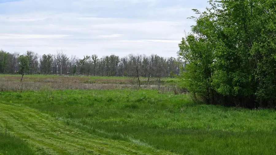W1718 Fur DRIVE, Markesan, WI 53946 - #3