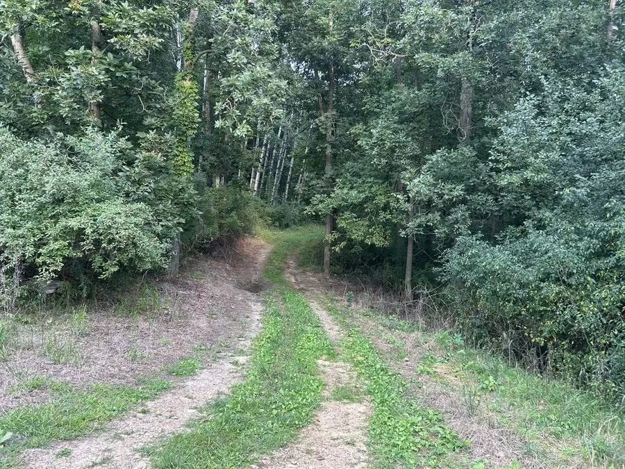 000 PREUSS ROAD, Elroy, WI 53929 - #2