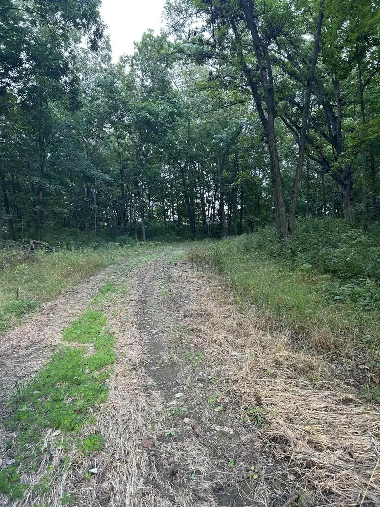 000 PREUSS ROAD, Elroy, WI 53929 - #3