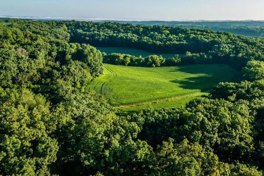 5292 Stenner Hill ROAD, Boscobel, WI 53805 - #3