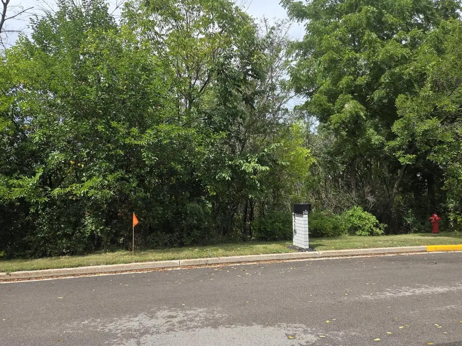 Lt49 N HIGH STREET, Mayville, WI 53050 - #2