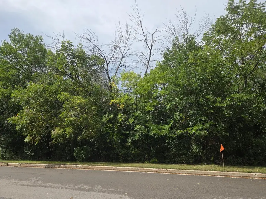 Lt49 N HIGH STREET, Mayville, WI 53050 - #3