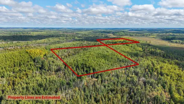5321 W COUNTY ROAD 569, Abbotsford, MI 49873