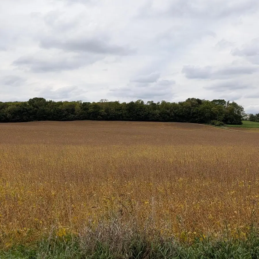 Lt0 FAVILLE ROAD, Lake Mills, WI 53551 - #2