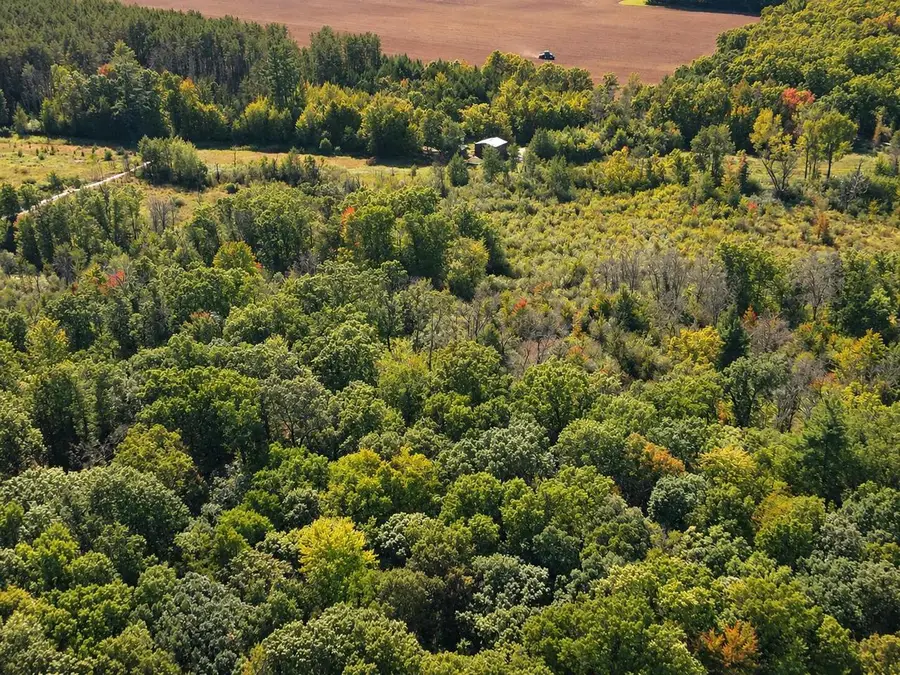2026 Sixth AVENUE, Grand Marsh, WI 53936 - #3