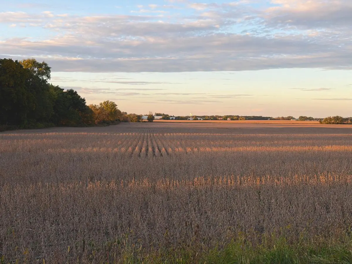 Lot 1 BRAY ROAD, Elkhorn, WI 53121 - #1