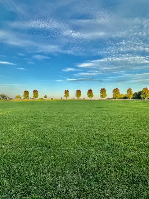 #2