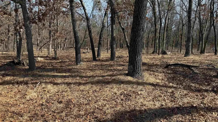#3