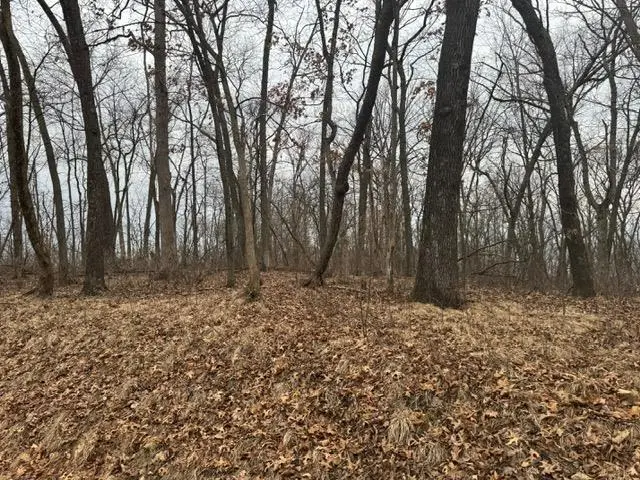 #2