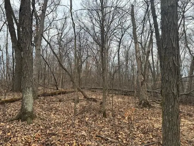 #3