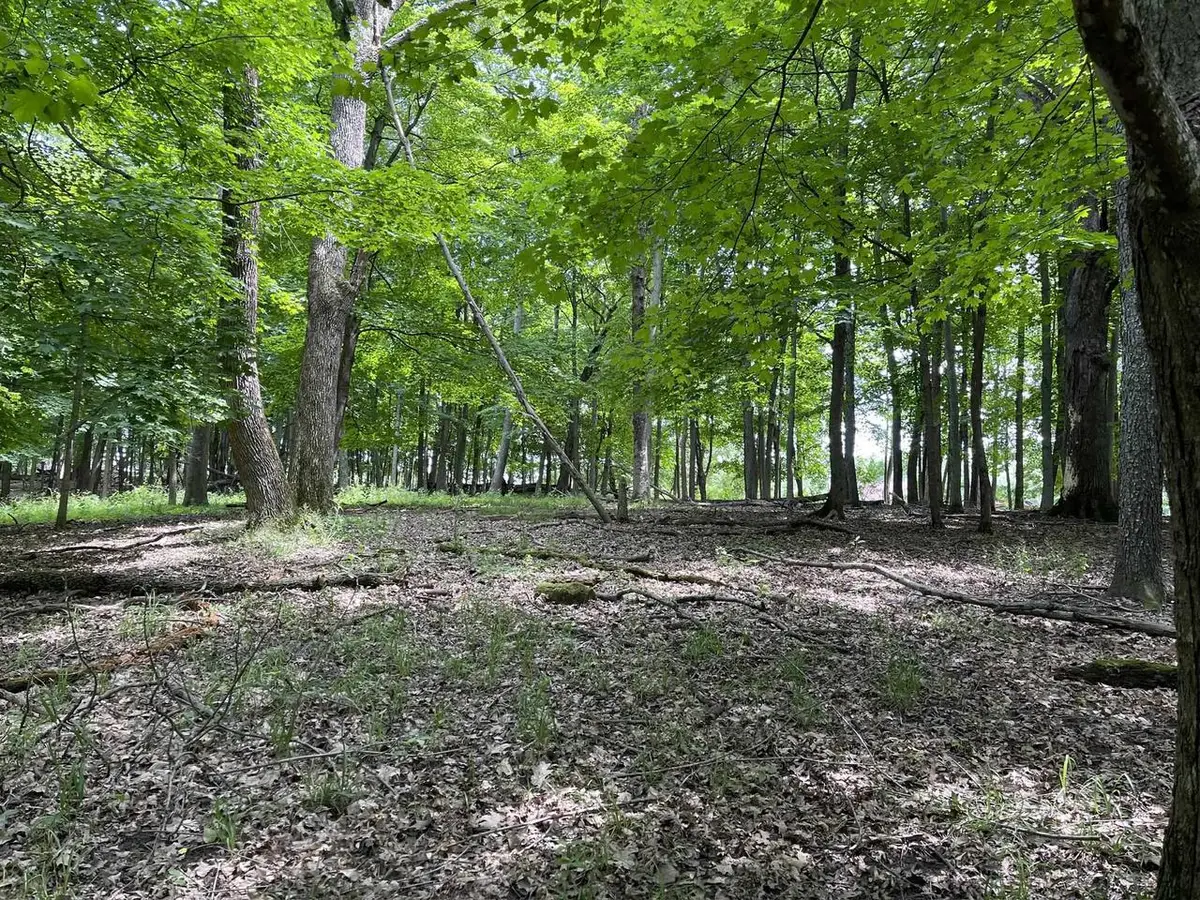 Lt 148 Pine Cone Lane, La Valle, WI 53941 - #1