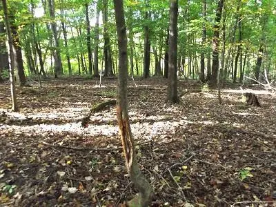 #3